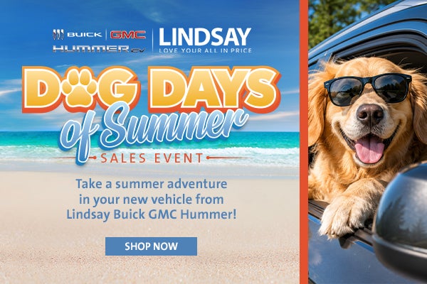 Dog Days of Summer